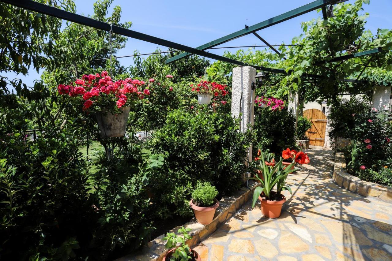 Гостевой дом Garden House Kastellani Kastellanoi  Экстерьер фото